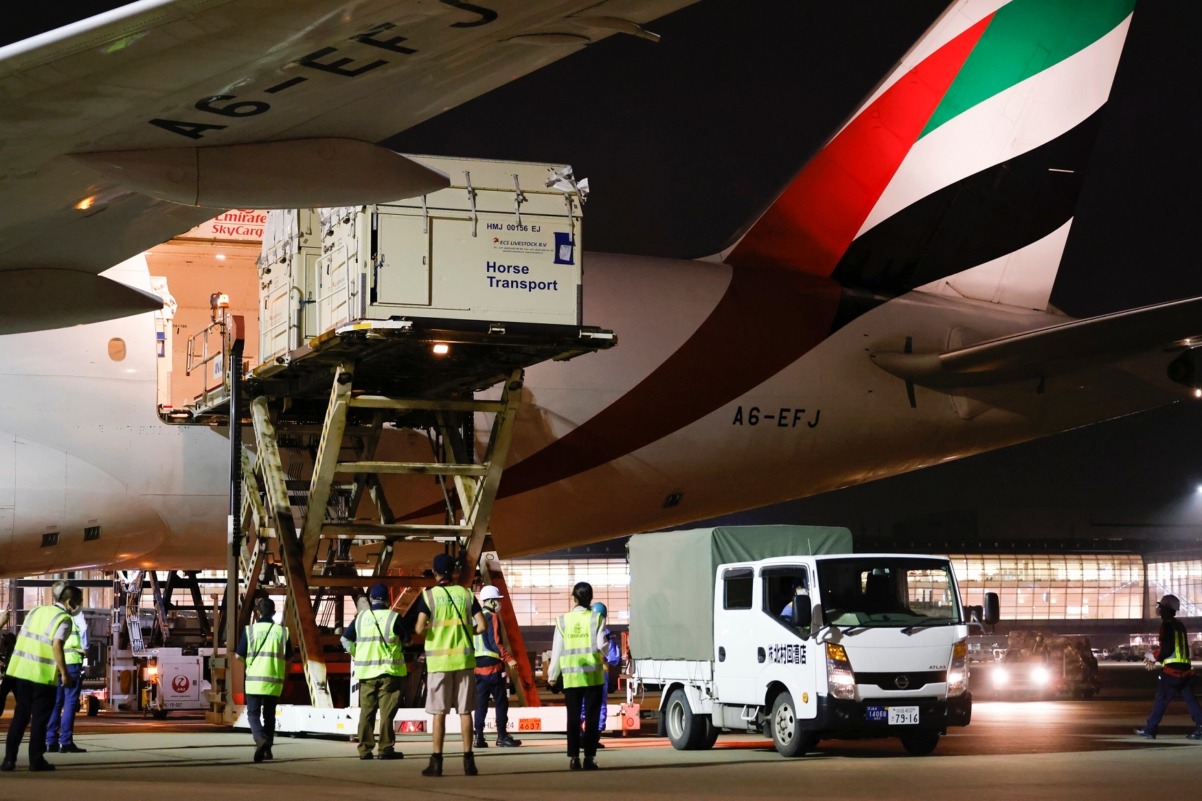 247匹赛马将陆续搭乘阿联酋航空货机抵达东京